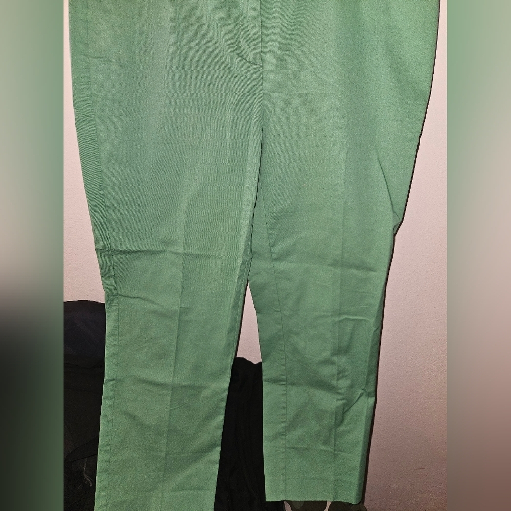 Lands End Womans Green Mid Rise Slim Leg Pants Size 16T - Picture 2 of 13